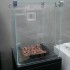 Glas voor de Muztag Malaga terrasverwarmer